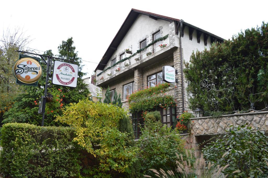 기오르 Muskatli Panzio B&B 외부 사진