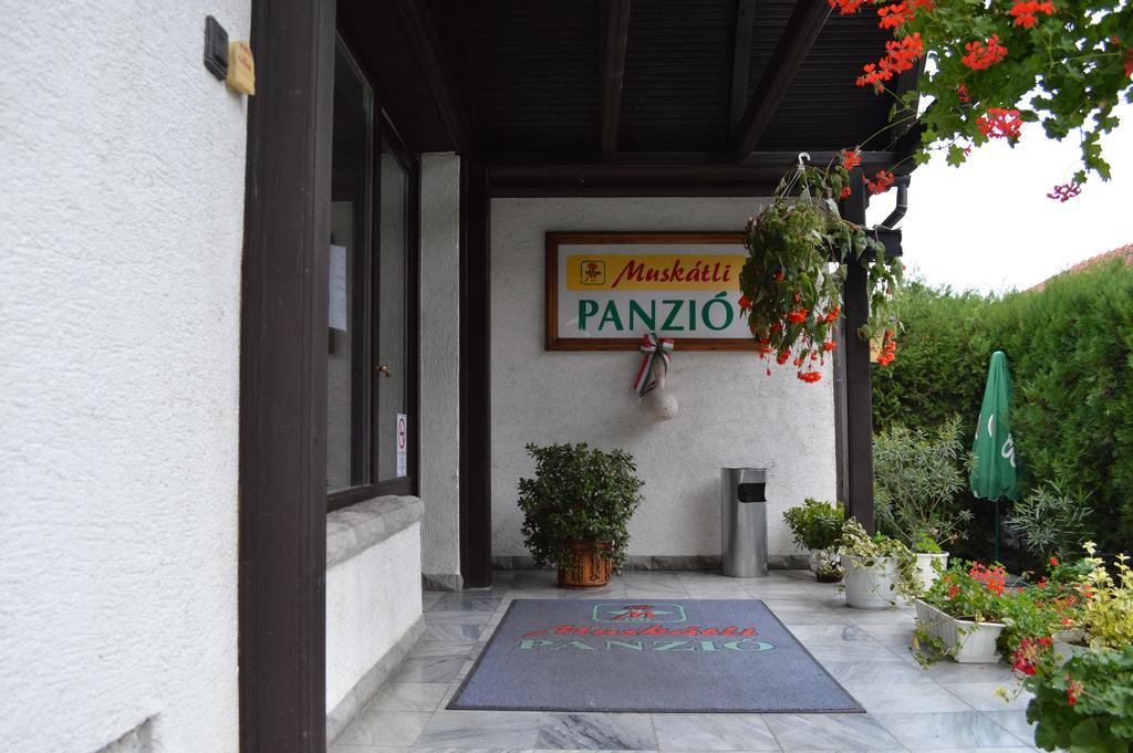 기오르 Muskatli Panzio B&B 외부 사진