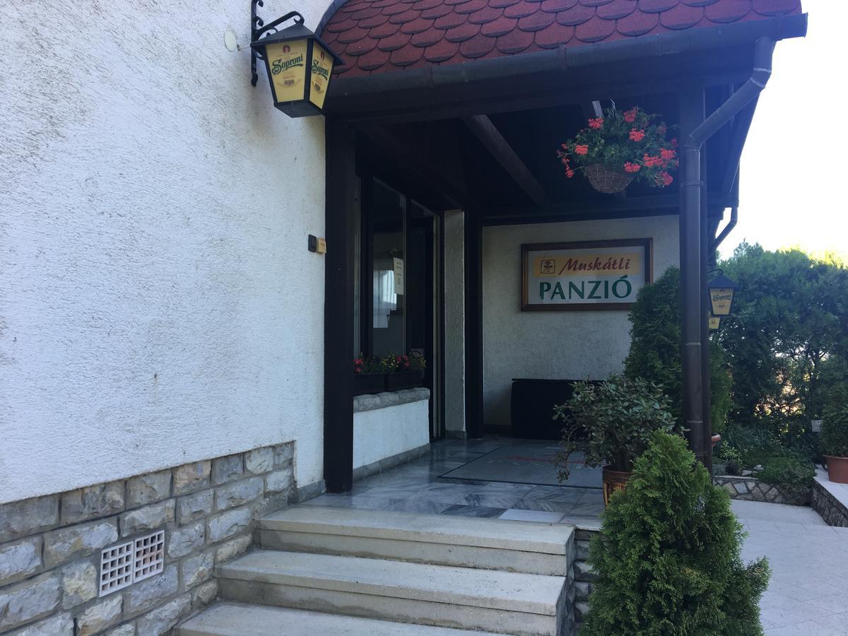 기오르 Muskatli Panzio B&B 외부 사진